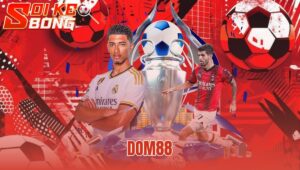 Dom88