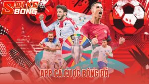 App Cá Cược Bóng Đá