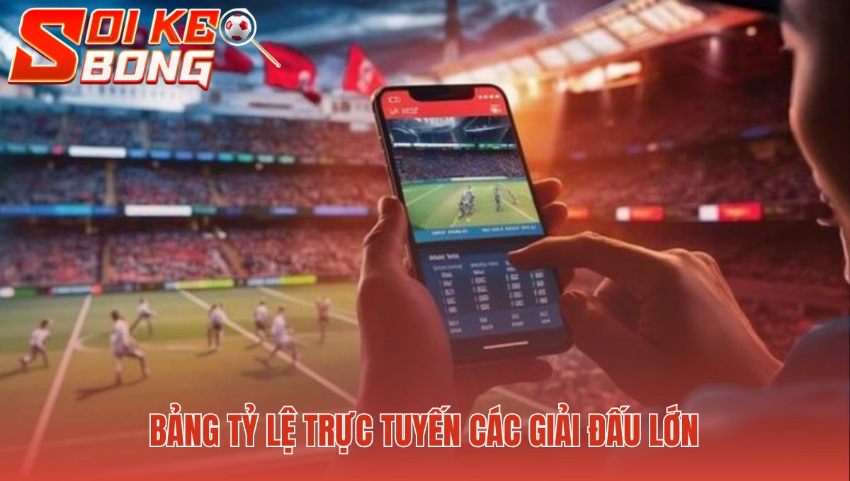 Bảng minh họa trực quan các loại kèo cược phổ biến