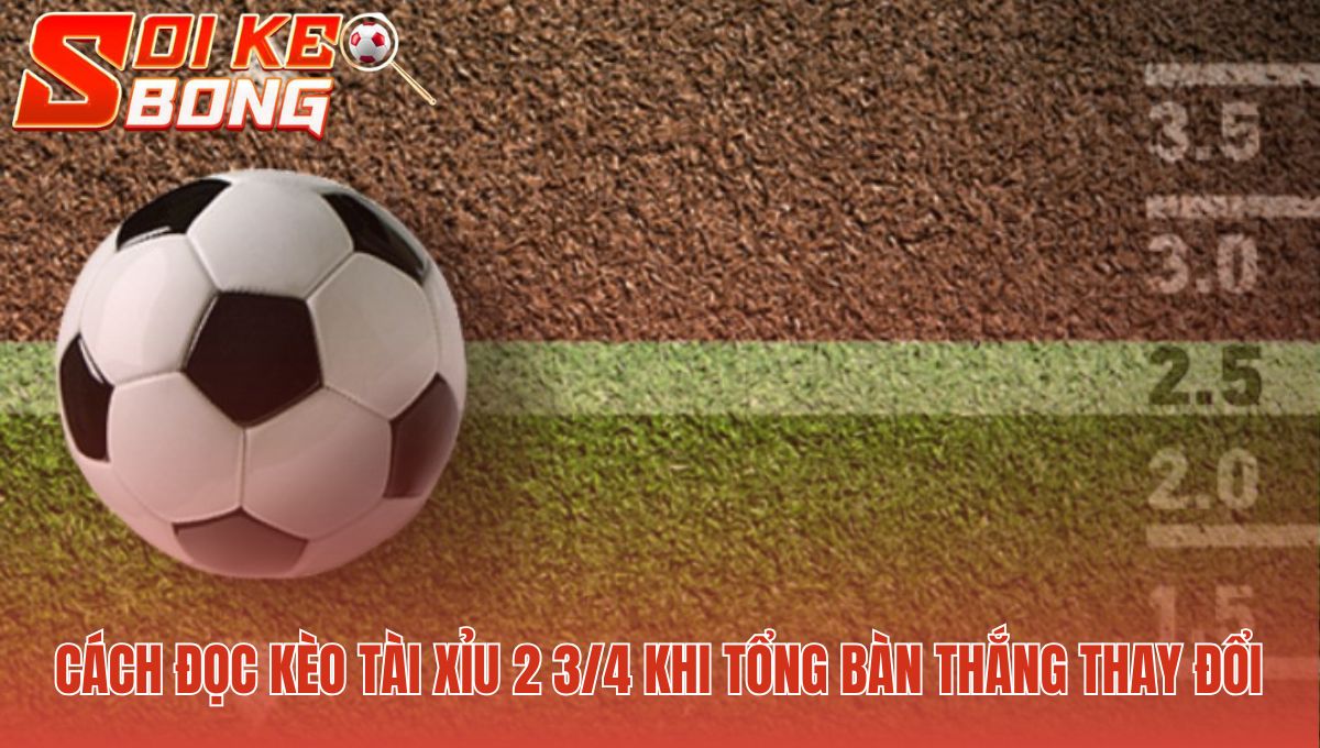 Kèo tài xỉu 2 3/4 là gì? Kết quả phụ thuộc tổng bàn thắng