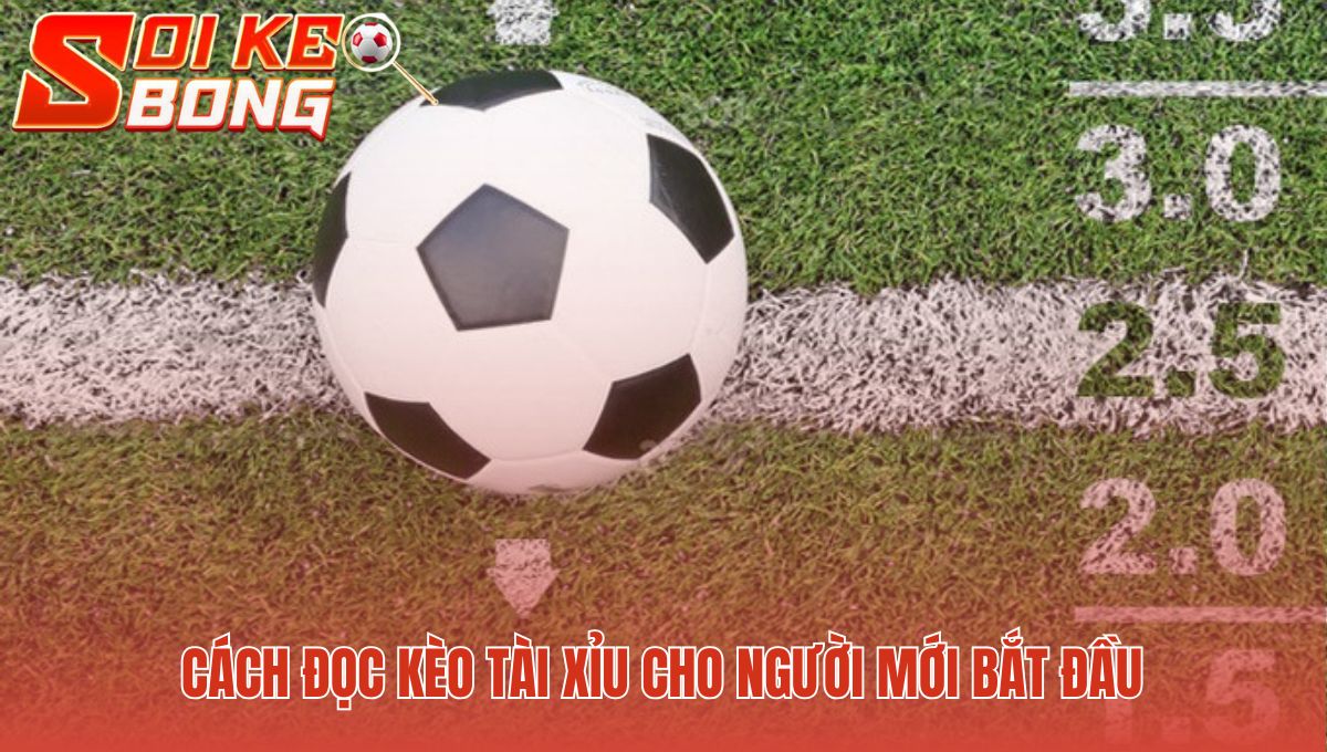 Giải mã các thông số thông dụng cho người mới