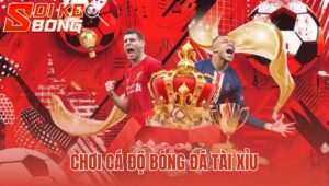 Chơi Cá Độ Bóng Đá Tài Xỉu