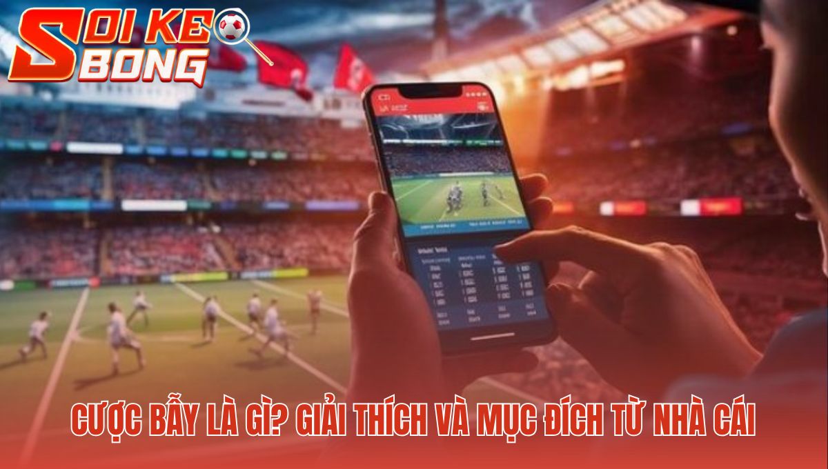 Kèo Dụ Là Gì | Hướng Dẫn Nhận Biết Bẫy Tỷ Lệ Cược 1 Mục đích của kèo dụ công cụ cân bằng dòng tiền nhà cái