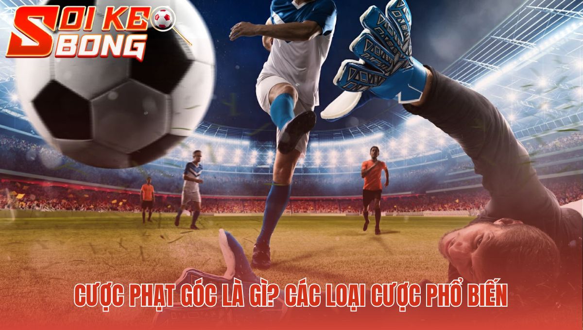 Soi Kèo Phạt Góc | Phân Tích Bằng Thống Kê - Soi Kèo Bóng 1 Cược phạt góc bao gồm bốn loại kèo phổ biến nhất