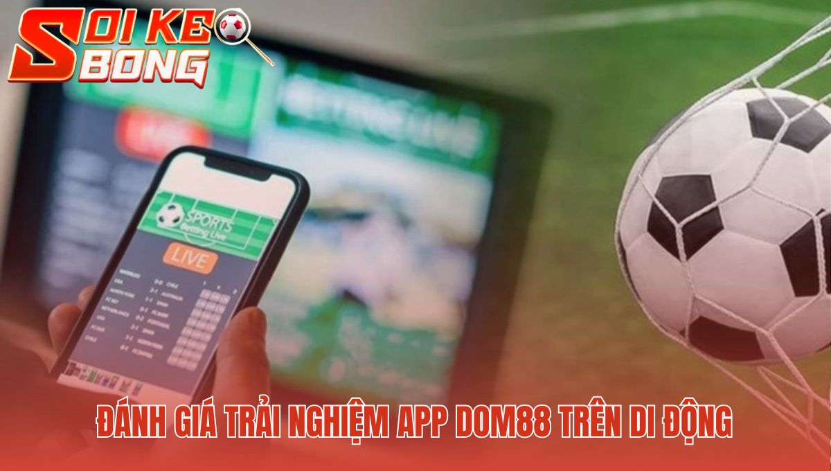 App Dom88 đảm bảo trải nghiệm mượt mà không độ trễ