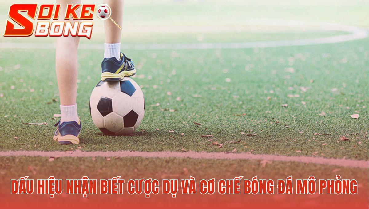 Kèo Ảo Là Gì? Soi Kèo Chỉ Ra 2 Loại Cược Cần Tránh Ngay 2 Nhận biết kèo ảo qua biến động tỷ lệ cược và thuật toán RNG