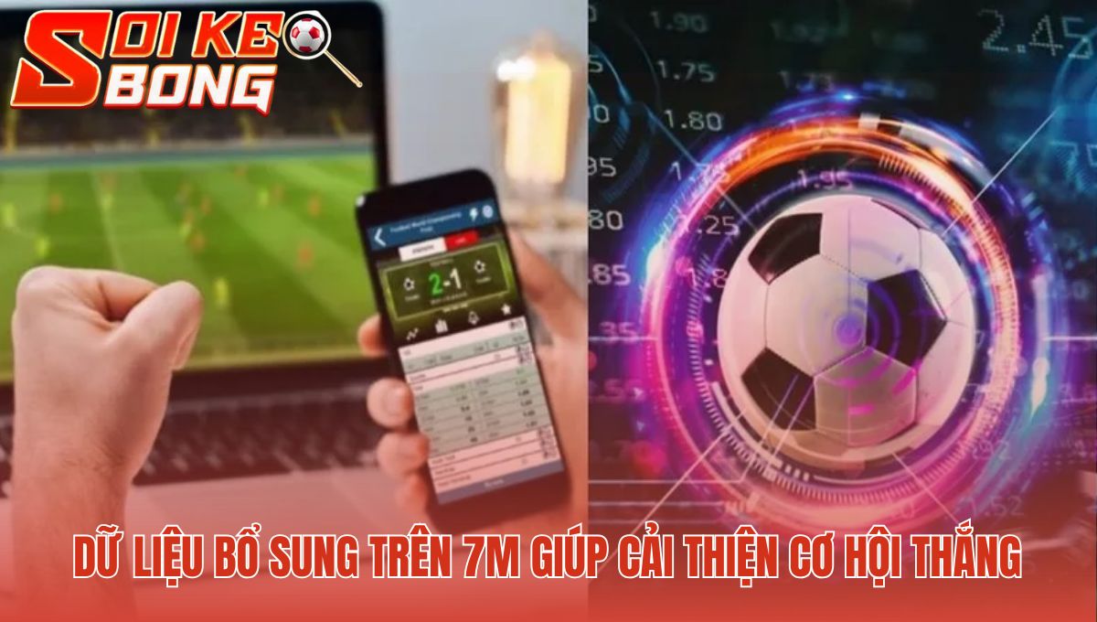 Xem tỷ số bóng đá 7m cùng dữ liệu H2H chuyên sâu