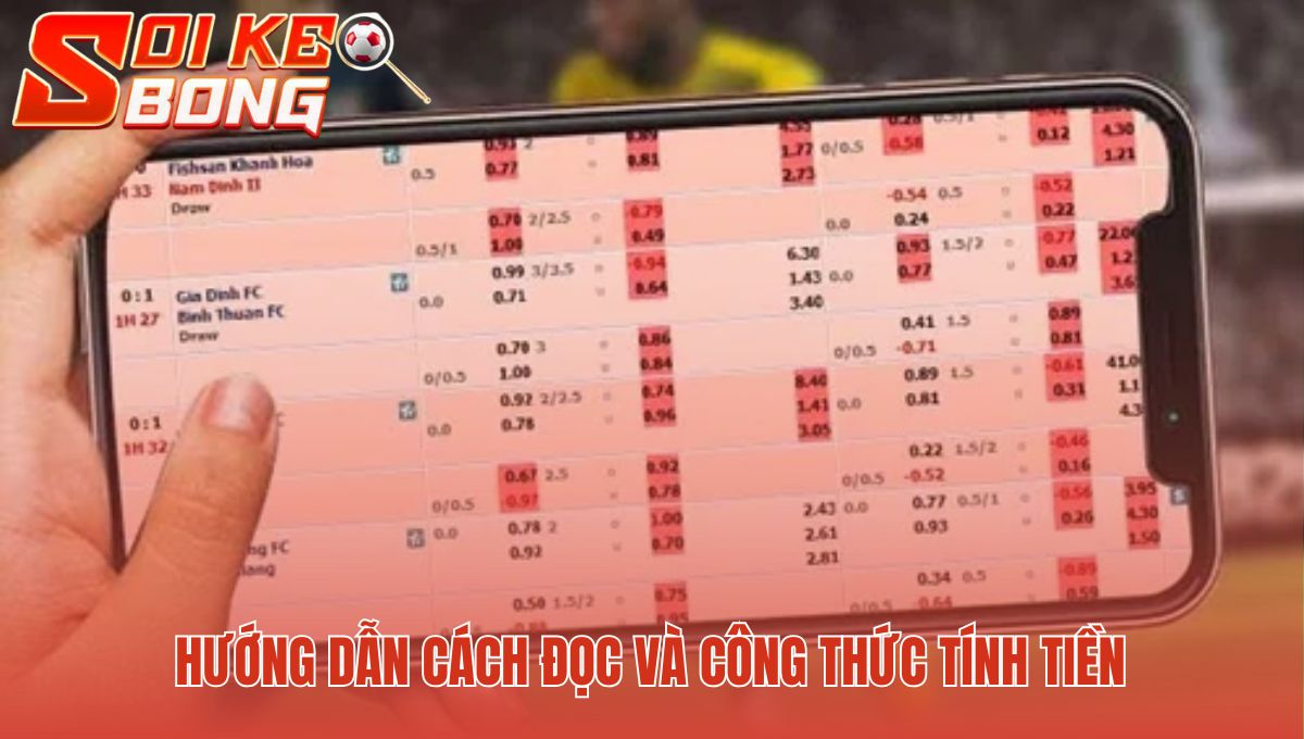 Cách đọc cược Malaysia cho odds âm và dương