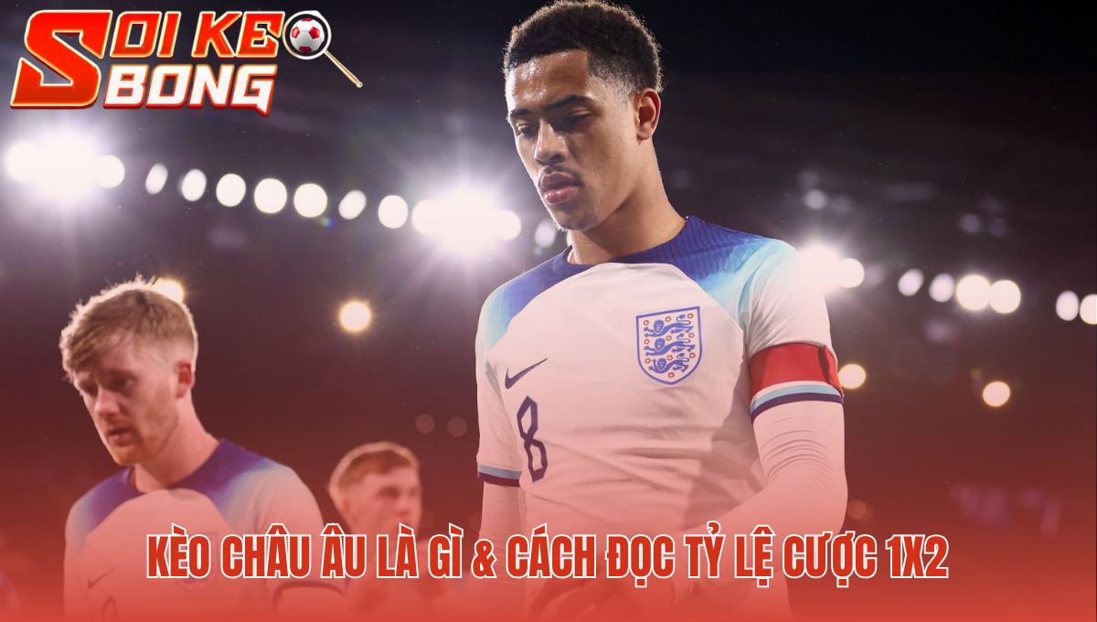 Soi Kèo Châu Âu - Phương Pháp Phân Tích Và Tìm Kèo Thơm 1 Kèo Châu Âu tập trung kết quả Thắng Hòa Thua