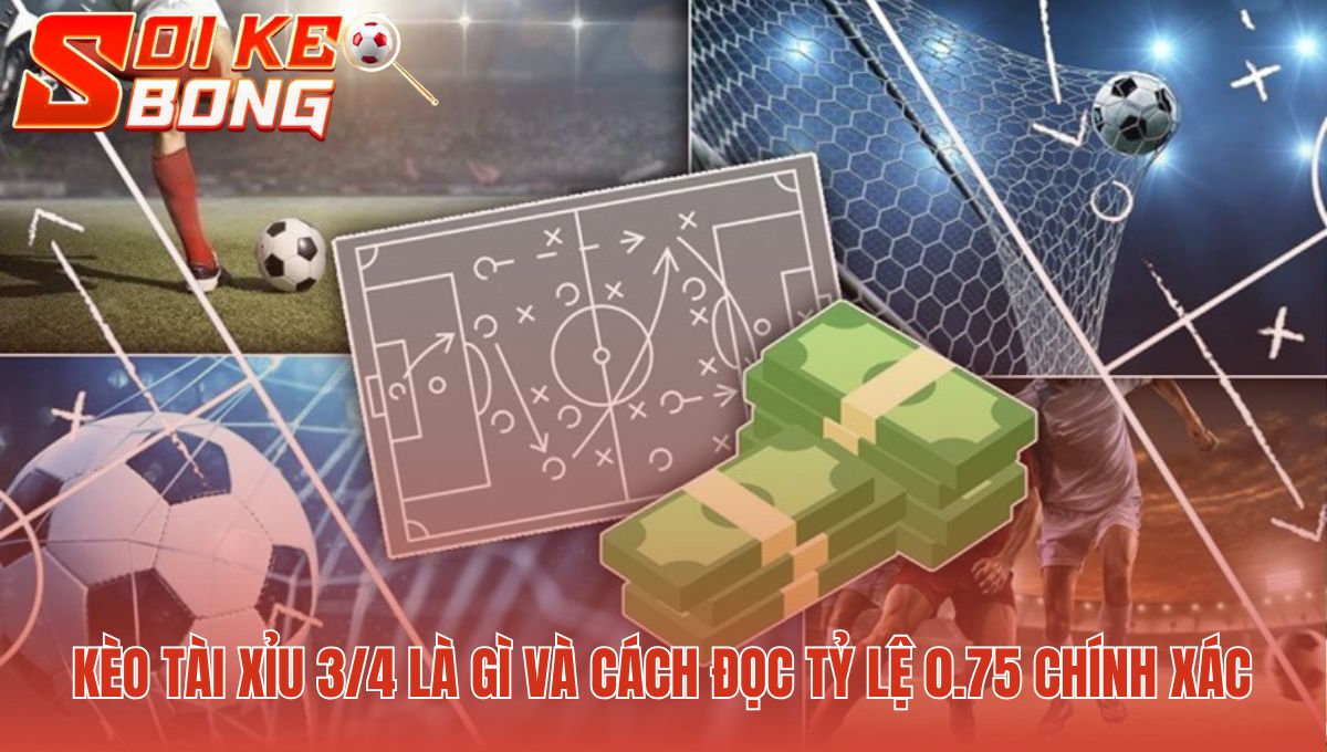 Kèo tài xỉu 3/4 là gì với kịch bản thắng hoặc thua nửa tiền