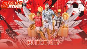 Kèo Tài Xỉu Là Gì