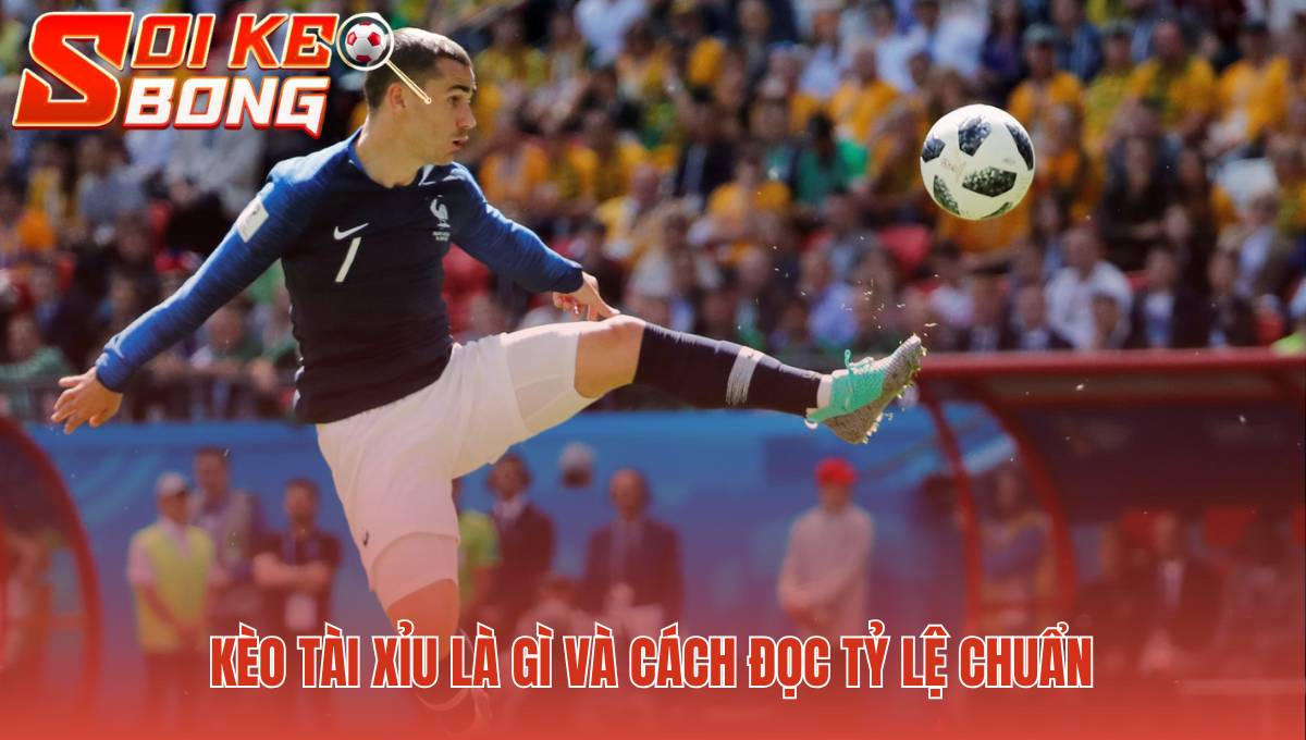 Cách Soi Kèo Tài Xỉu | Phân Tích Bàn Thắng Chuyên Sâu 1 Đọc kèo Tài Xỉu là dự đoán tổng số bàn thắng của trận đấu