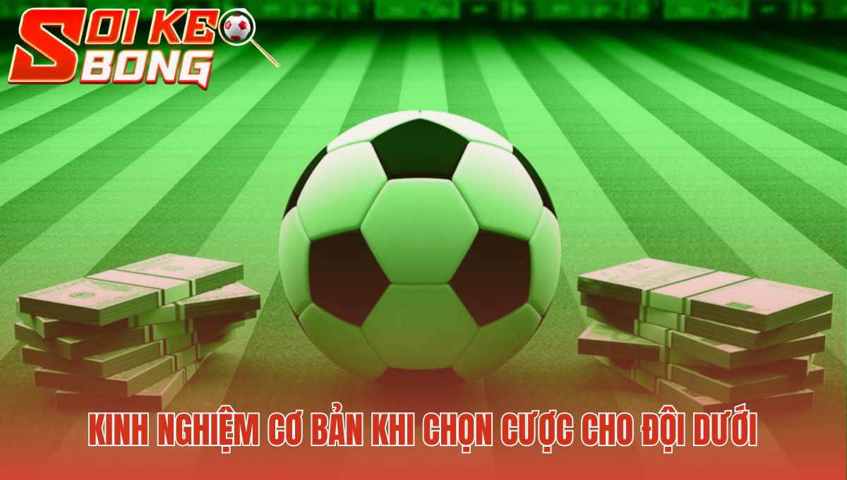 Kèo Dưới Là Gì? Giải Thích Cách Đọc Và Tính Tiền Cược 3 Kèo dưới là gì? Yêu cầu phân tích phong độ và đội hình