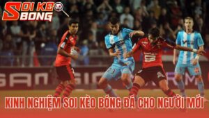 Kinh Nghiệm Soi Kèo Bóng Đá Cho Người Mới