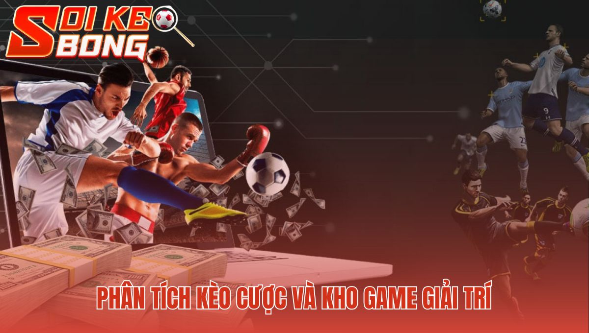 Net88 - Đánh Giá Uy Tín Và Kiểm Chứng Dịch Vụ 2 Hệ thống kèo cược và game giải trí đa dạng hấp dẫn