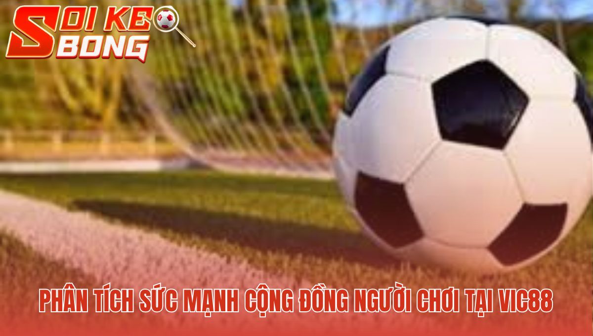 Cộng đồng Vic88 sôi nổi nhờ sự kiện độc quyền