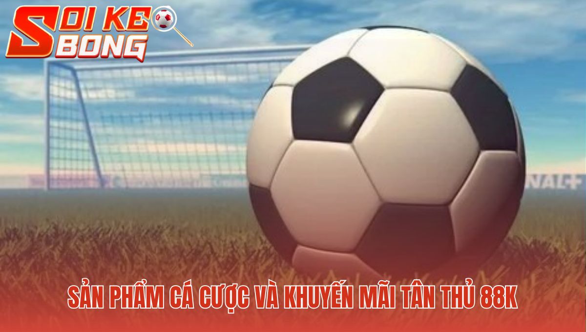 Sảnh game đa dạng và ưu đãi 88k dành cho người chơi mới