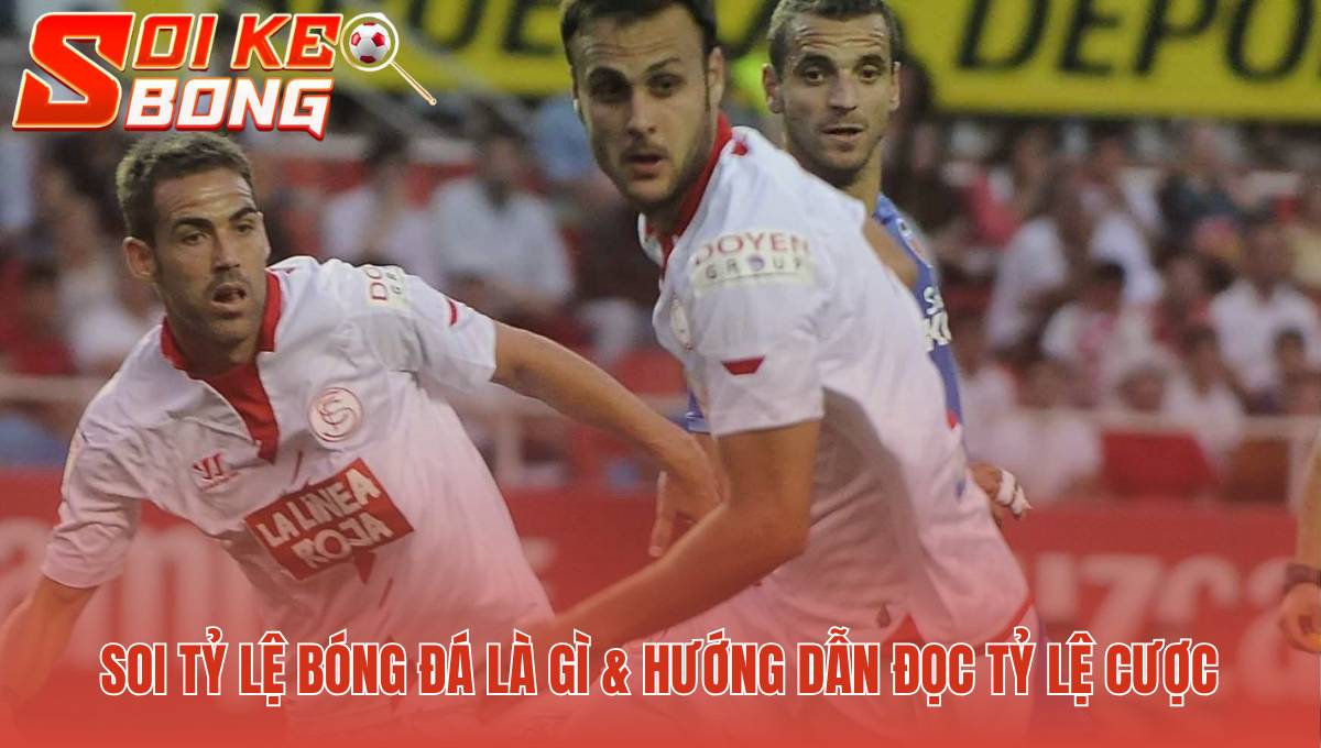 Cách Soi Kèo Bóng - Quy Trình Phân Tích Tỷ Lệ Cược Chuẩn 1 Hiểu rõ ba loại cược Châu Á Âu Tài Xỉu là bước khởi đầu