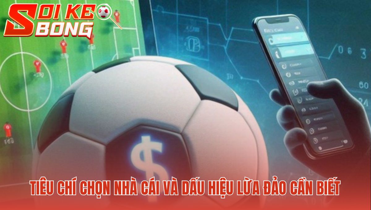 Tiêu chí chọn top web cá cược bóng đá qua mạng an toàn