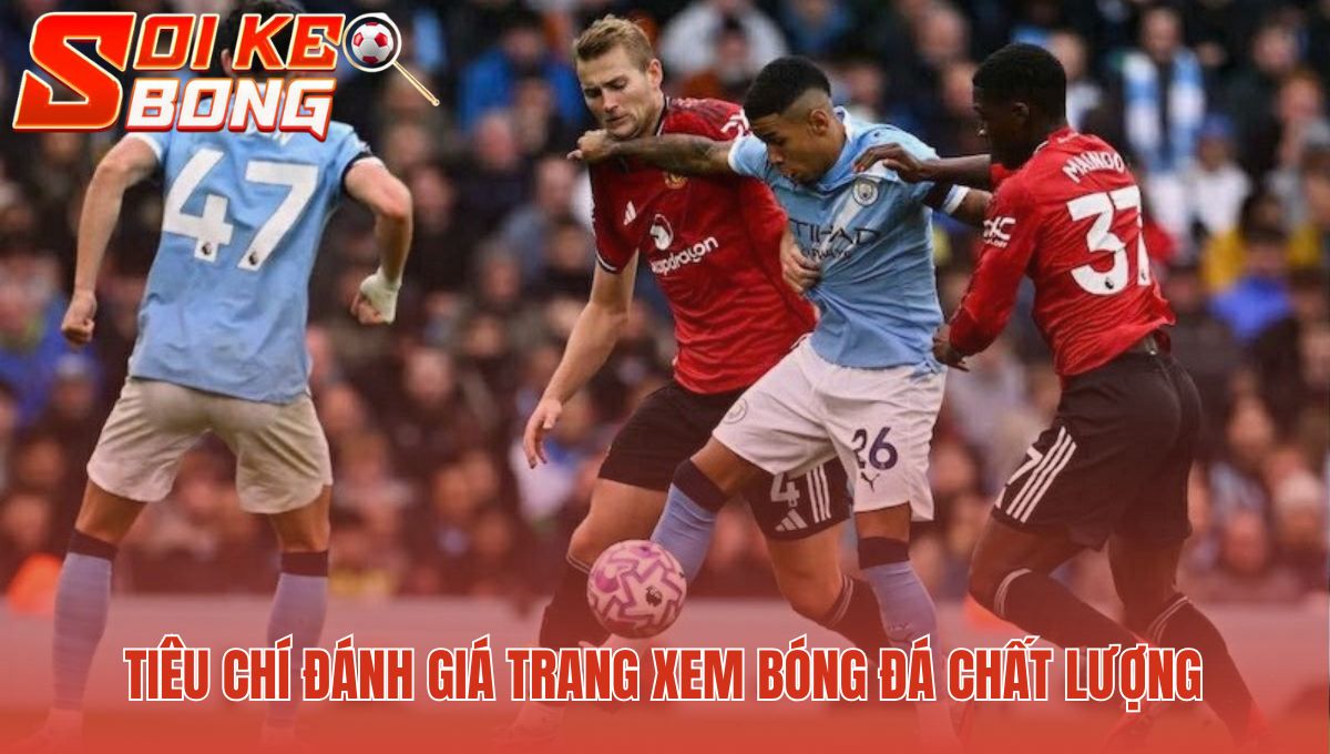 Yếu tố xác định một trang xem bóng đá chất lượng