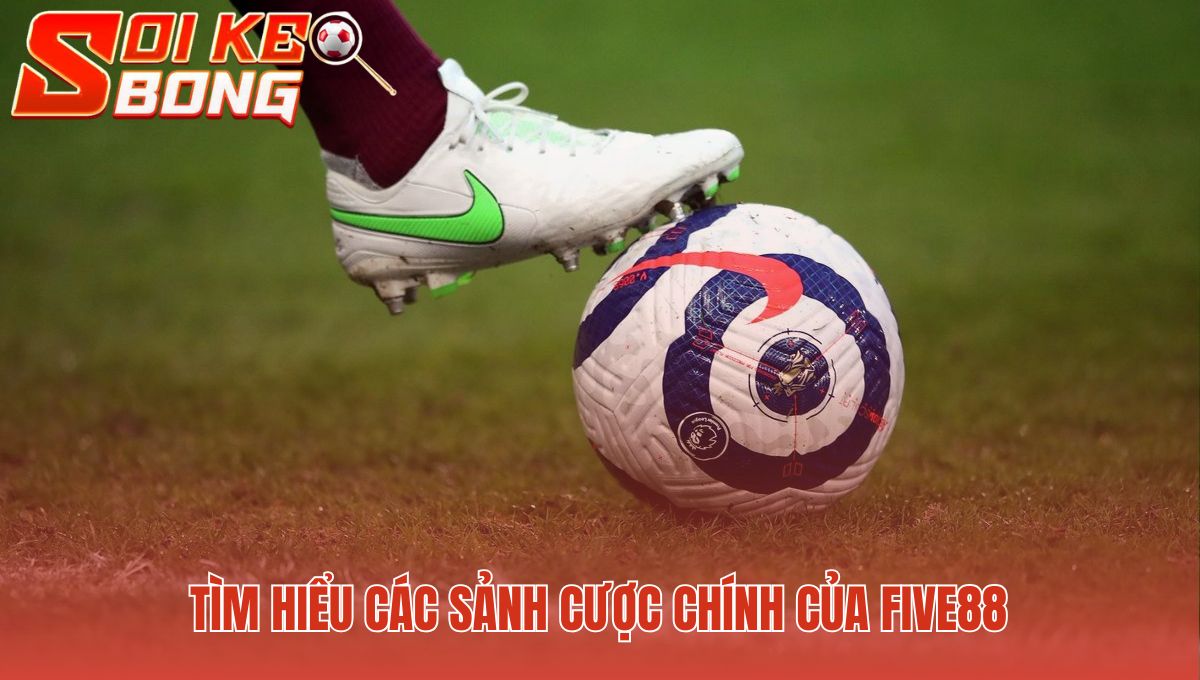Five88 tập trung phát triển chiều sâu các sảnh cược chính
