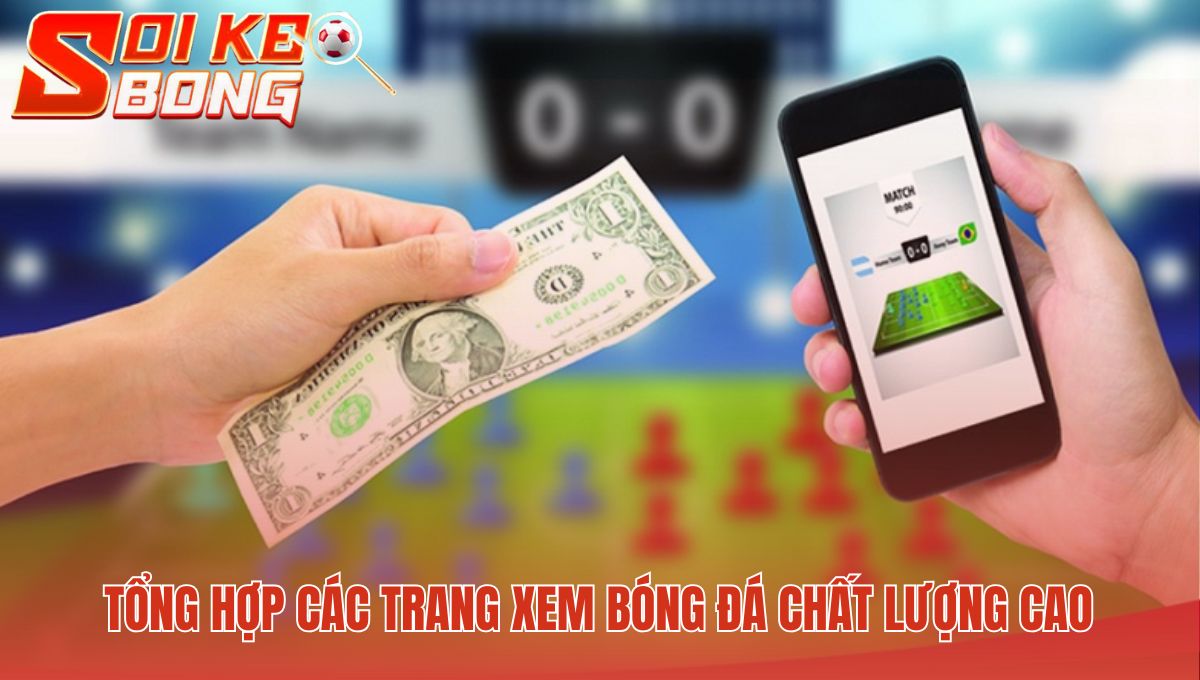 Tổng hợp trang xem bóng đá chất lượng được kiểm duyệt