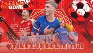 Top Trang Cá Độ Bóng Đá Trực Tuyến