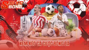 xem kèo cá cược bóng đá