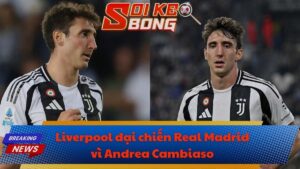 Liverpool đại chiến Real Madrid vì Andrea Cambiaso