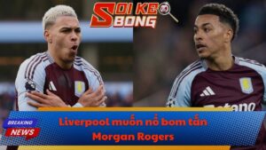 Liverpool muốn nổ bom tấn Morgan Rogers