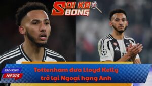 Tottenham đưa Lloyd Kelly trở lại Ngoại hạng Anh