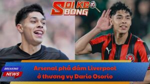 Arsenal phá đám Liverpool ở thương vụ Dario Osorio