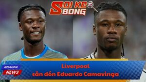 Liverpool săn đón Eduardo Camavinga