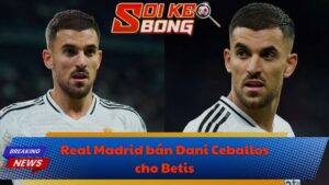 Real Madrid bán Dani Ceballos cho Betis