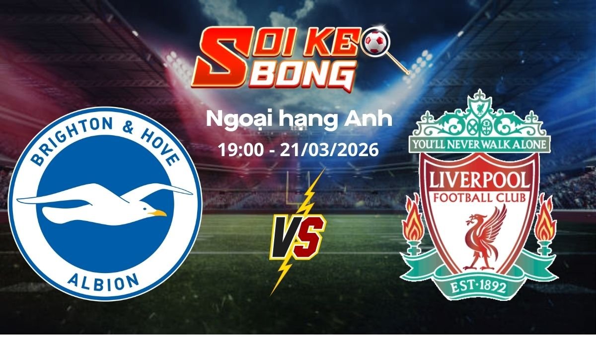 Soi kèo Brighton vs Liverpool