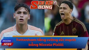 Tottenham tăng cường sức mạnh bằng Niccolo Pisilli