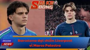 Barcelona đại chiến Liverpool vì Marco Palestra