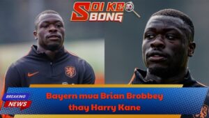Bayern Munich mua Brian Brobbey thay Harry Kane