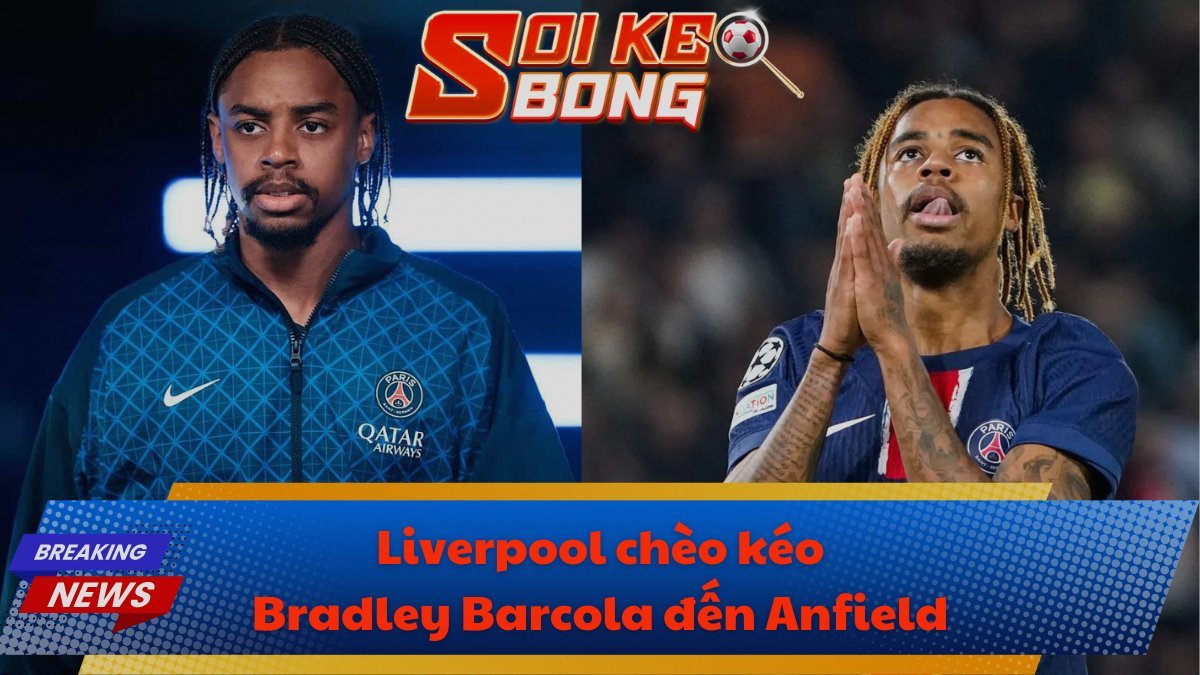 Liverpool chèo kéo Bradley Barcola đến Anfield