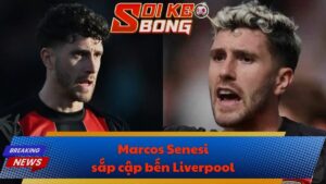 Marcos Senesi sắp cập bến Liverpool