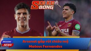 Arsenal gấp rút chiêu mộ Mateus Fernandes
