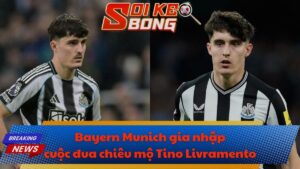 Bayern Munich gia nhập cuộc đua chiêu mộ Tino Livramento