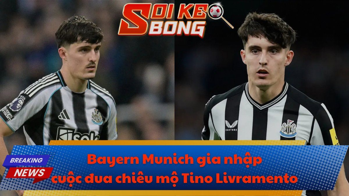 Bayern Munich gia nhập cuộc đua chiêu mộ Tino Livramento