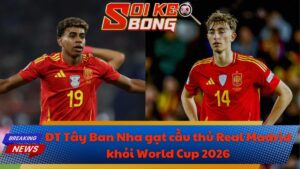 ĐT Tây Ban Nha gạt Real Madrid khỏi World Cup 2026
