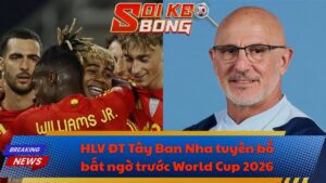 HLV ĐT Tây Ban Nha tuyên bố bất ngờ trước World Cup 2026