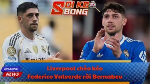 Liverpool chèo kéo Federico Valverde rời Bernabeu