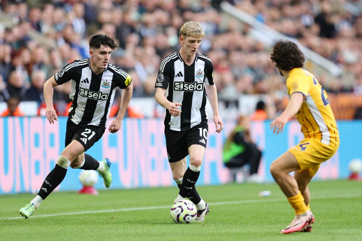 Newcastle gặp khó khi tiếp đón Brighton