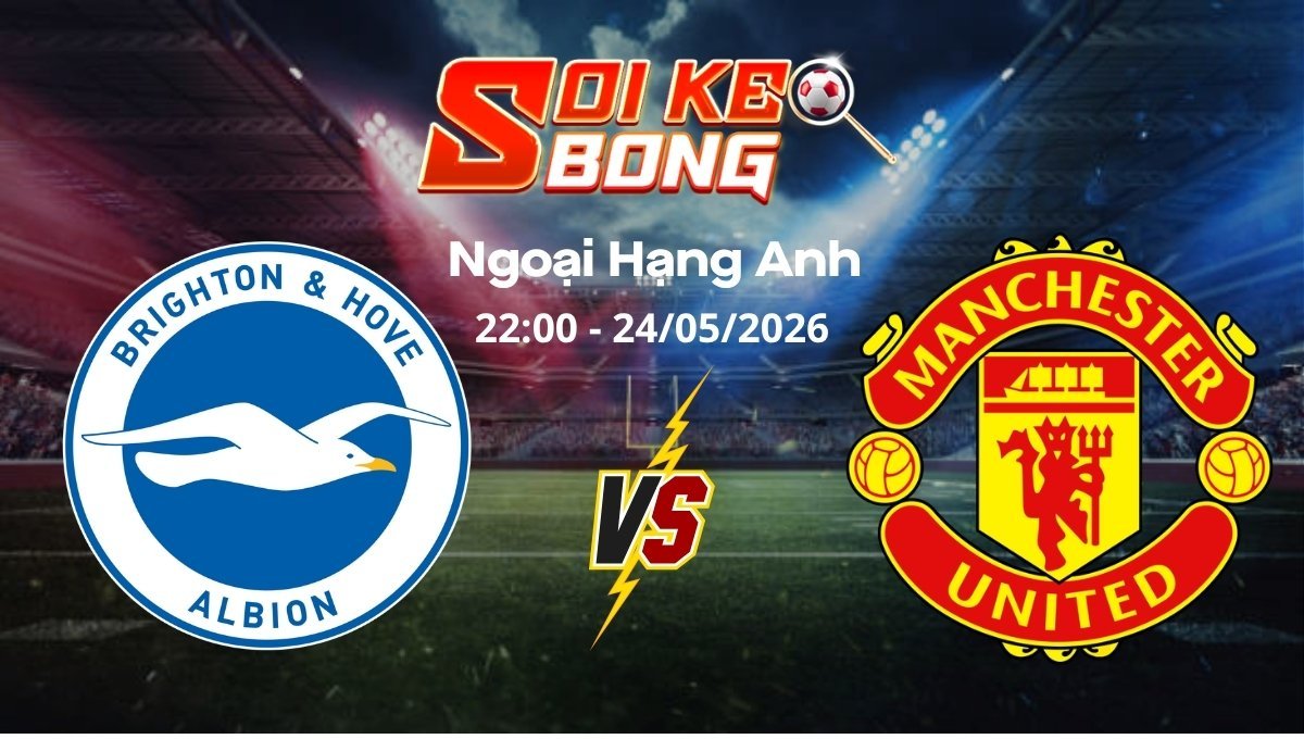 Soi kèo Brighton vs Man United ngày 24/05 | Ngoại hạng Anh